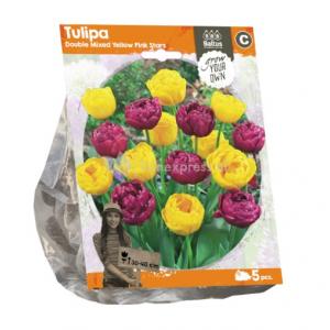 Baltus Tulipa Double Mixed Yellow Pink Stars tulpen bloembollen per 5 stuks